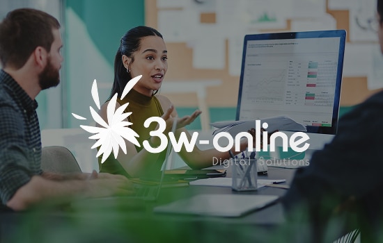 3W Online